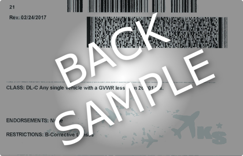 Drivers License Sample Back